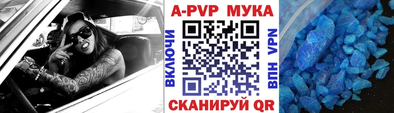 Alfa_PVP СК КРИС  Мариинский Посад 