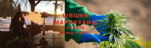 сатива Куйбышев